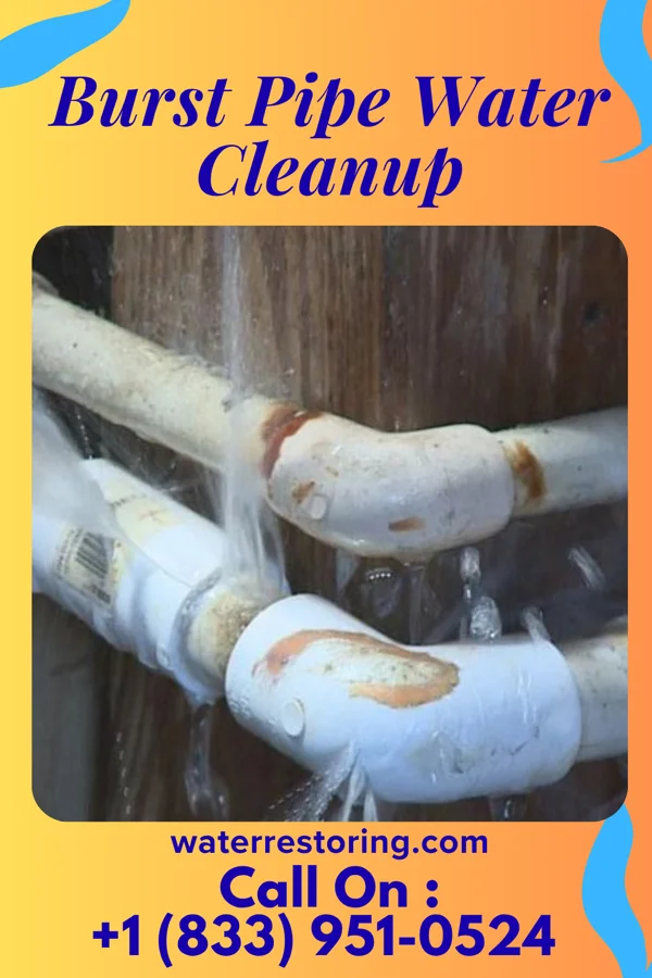 Burst Pipe Water Cleanup in Baldwin, MI