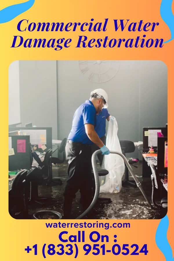 Commercial Water Damage Restoration in Baldwin, MI