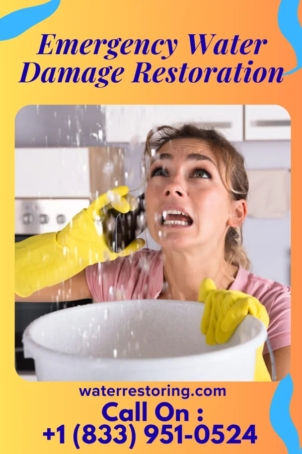 Emergency Water Damage Restoration in Baldwin, MI