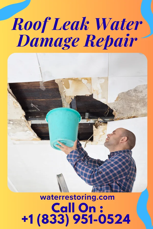 Roof Leak Water Damage Repair in Baldwin, MI